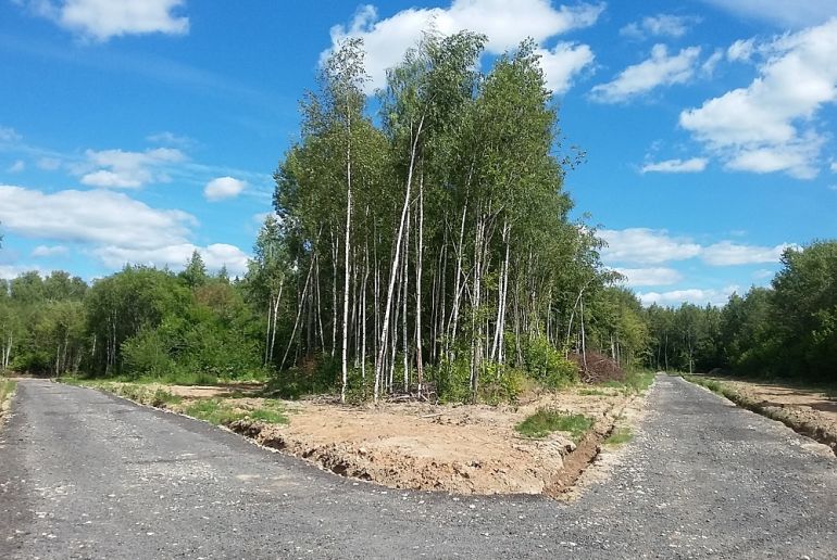 Земля в Подмосковье, Бавыкино