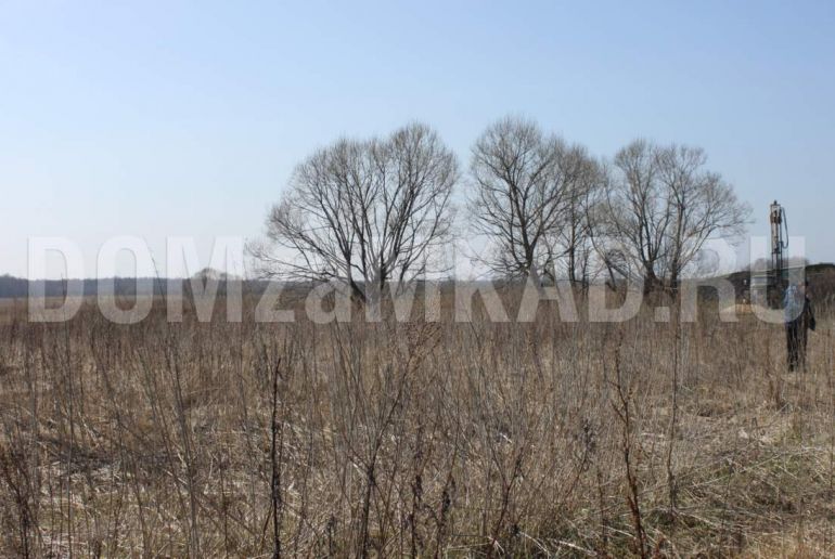 Земля в районе Талдомский, Прусово