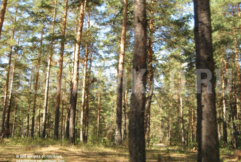 Земля в Подмосковье, Бордуки