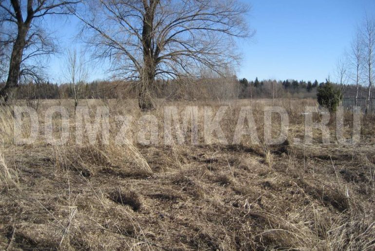 Земля в районе Талдомский, Новая Хотча