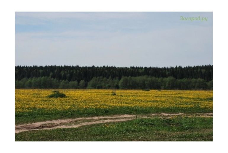 Земля в районе Подольский, Поляны