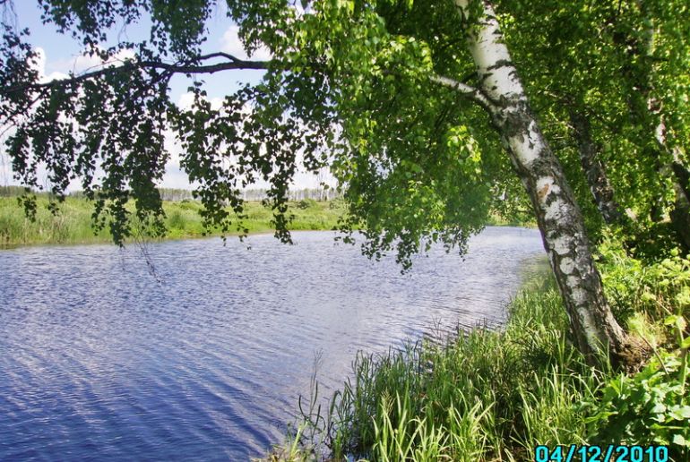 Земля в Подмосковье, Венев