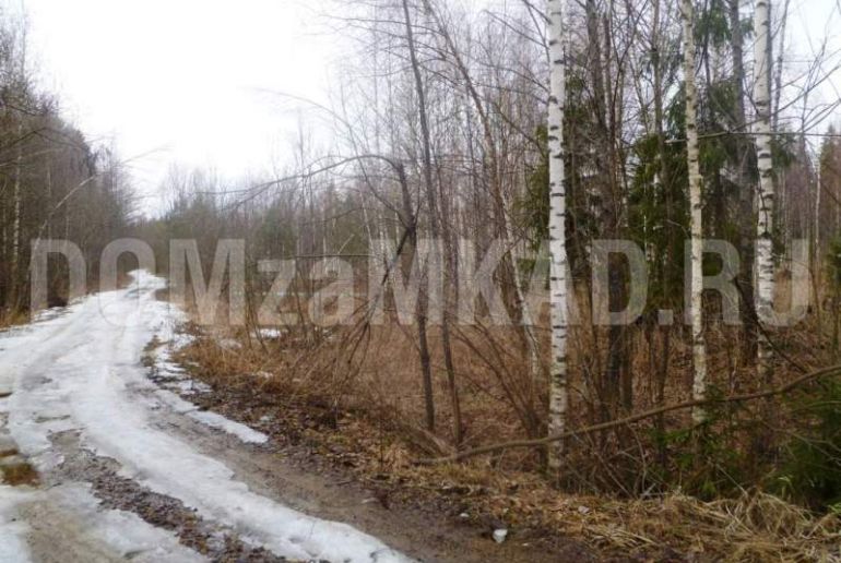 Земля в районе Талдомский, Волдынь