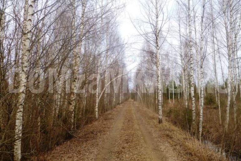 Земля в районе Талдомский, Волдынь