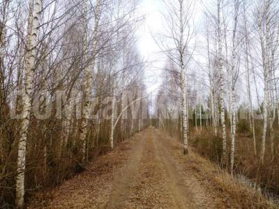 Участок по Дмитровке в деревне, Волдынь