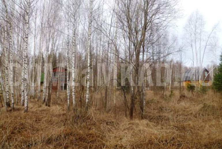 Земля в районе Талдомский, Волдынь