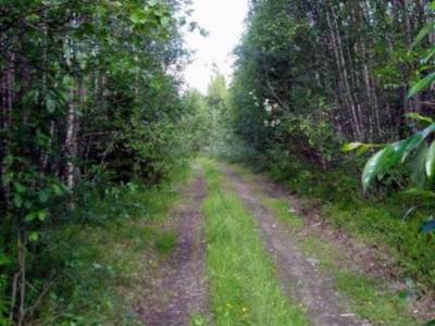 Участок Городской округ Электрогорск, Волдынь