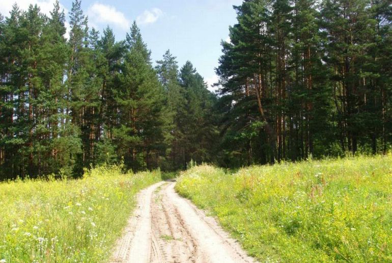 Земля в районе Талдомский, Волдынь