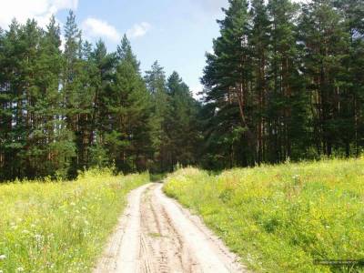 Участок по Дмитровке в деревне, Волдынь