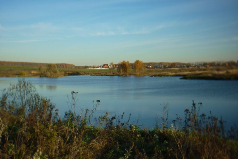 Земля в Подмосковье, Михнево