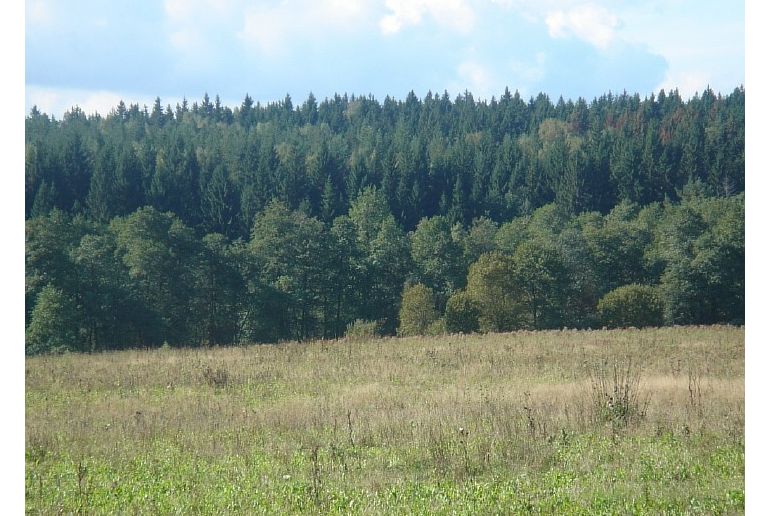 Земля в районе Подольский, Поляны