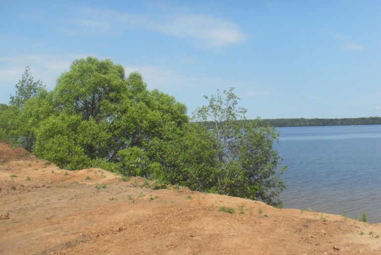 Земля в Подмосковье, Васюсино