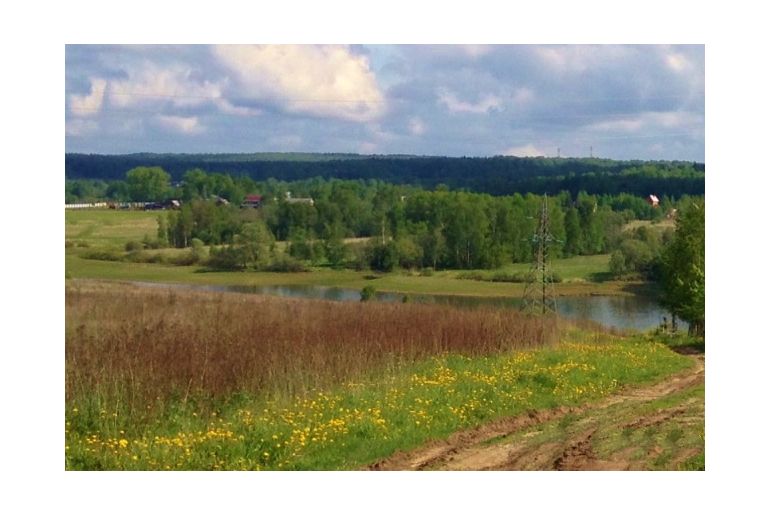 Земля в районе Дмитровский, Жестылево