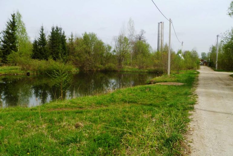 Под кронами деревня платунино. Дача Талдом СНТ красная звезда.