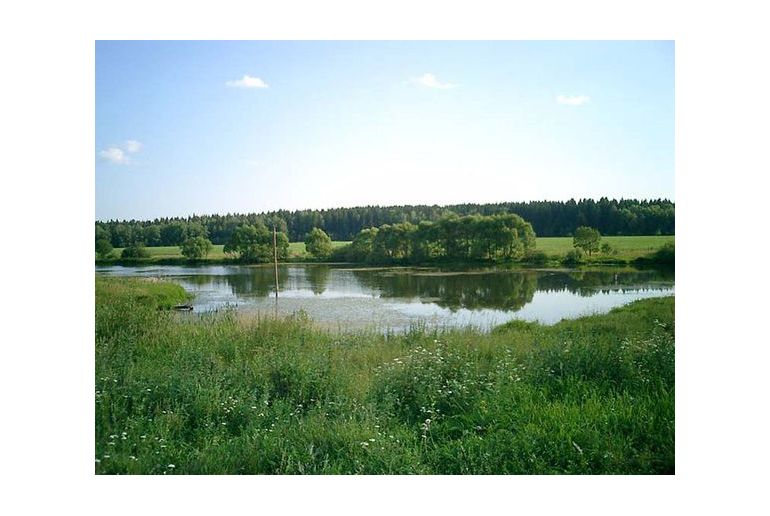 Земля в районе Подольский, Былово