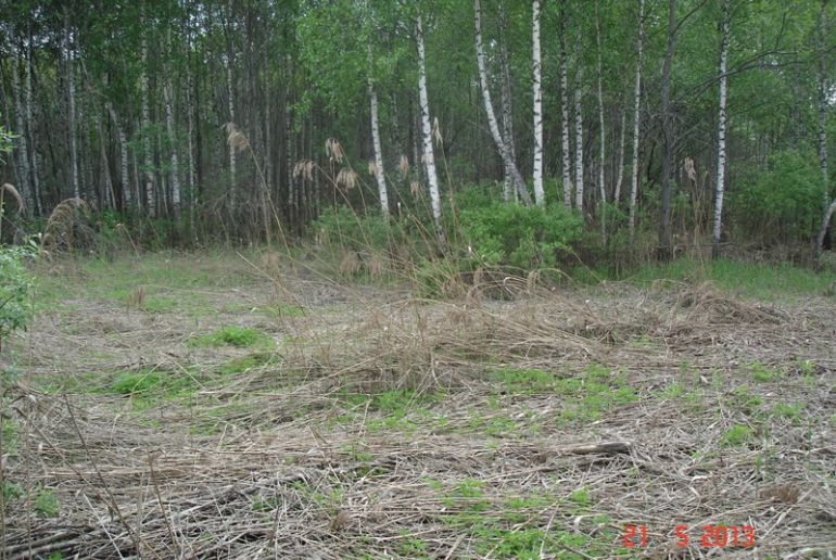 Земля в районе Дмитровский, Первомайский