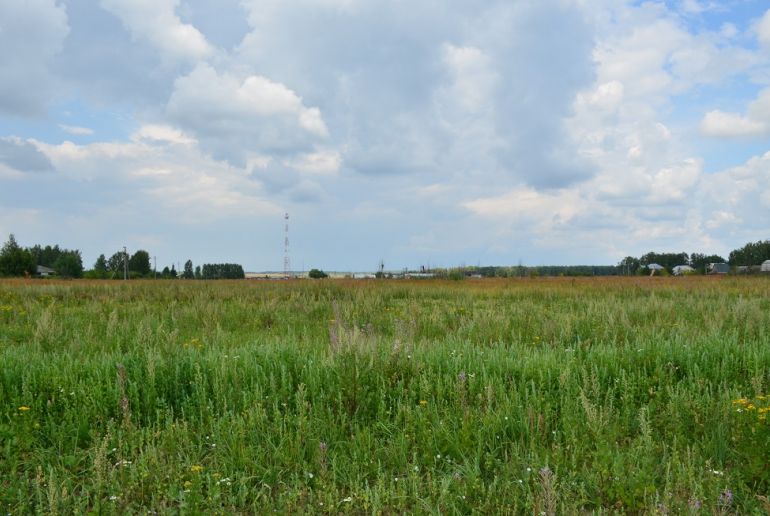 Земля в районе Ступинский, Ивановское