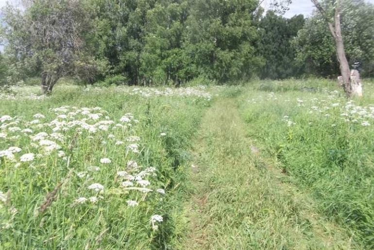 Земля в районе Дмитровский, Кончинино