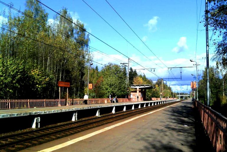 Земля в районе Мытищинский, Трудовая