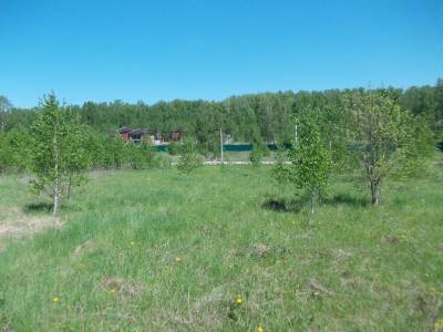 Участок Городской округ Электрогорск, дер. Алексеевка