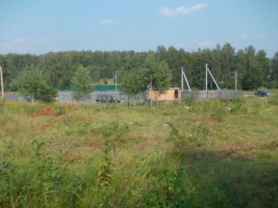 Участок Городской округ Электрогорск, дер. Алексеевка