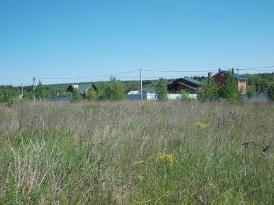 Участок Городской округ Электрогорск, дер. Алексеевка