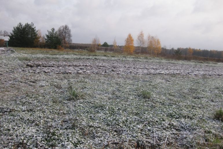 Земля в районе Дмитровский, Орево