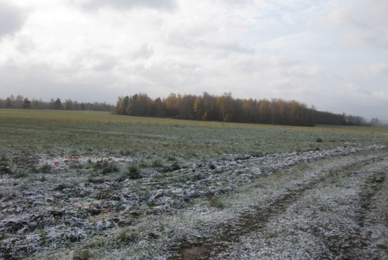 Земля в районе Дмитровский, Орево