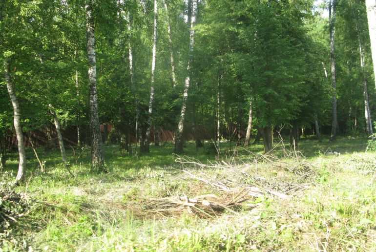 Земля в Подмосковье, Оазис