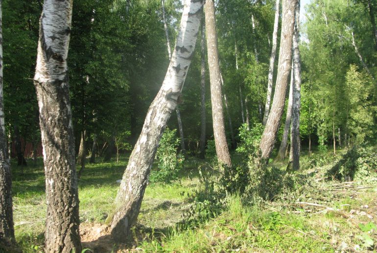 Земля в Подмосковье, Оазис