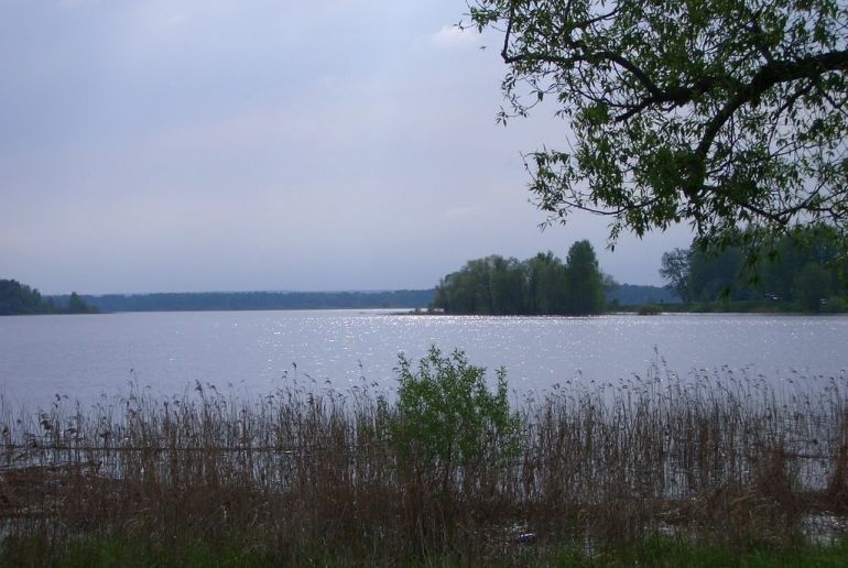 Земля в Подмосковье, Бережки