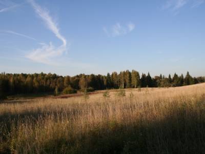 Участок Городской округ Электрогорск, д.Габо