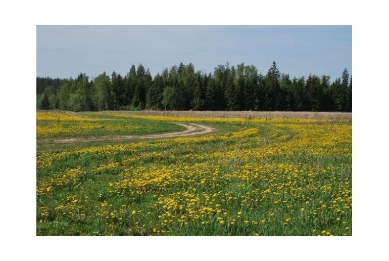 Земля в районе Солнечногорский, Дурыкино