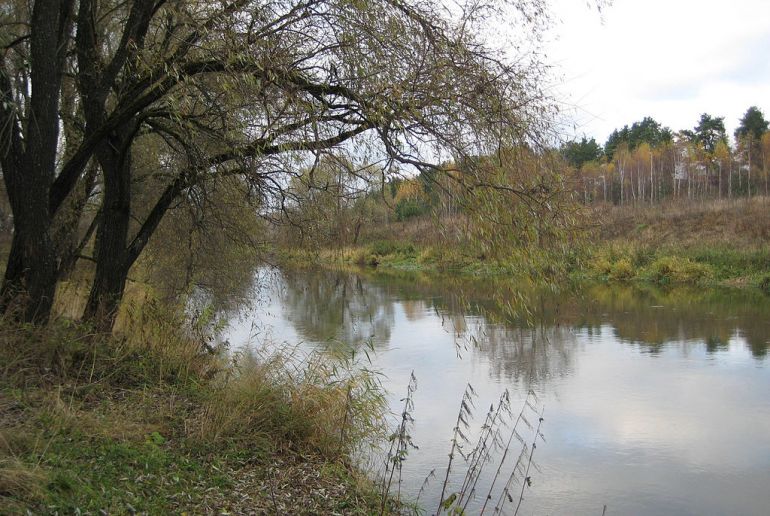 Земля в районе Истринский, Красновидово