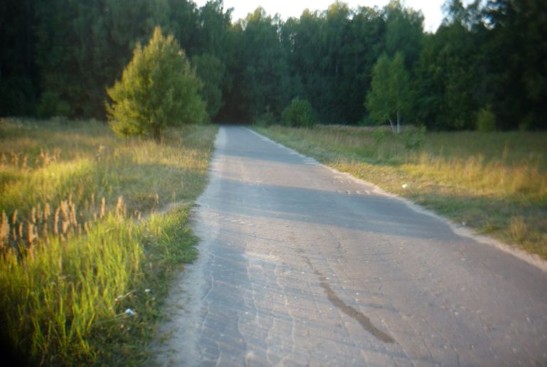 Земля на Каширское шоссе, Ступинский район с.Липитино