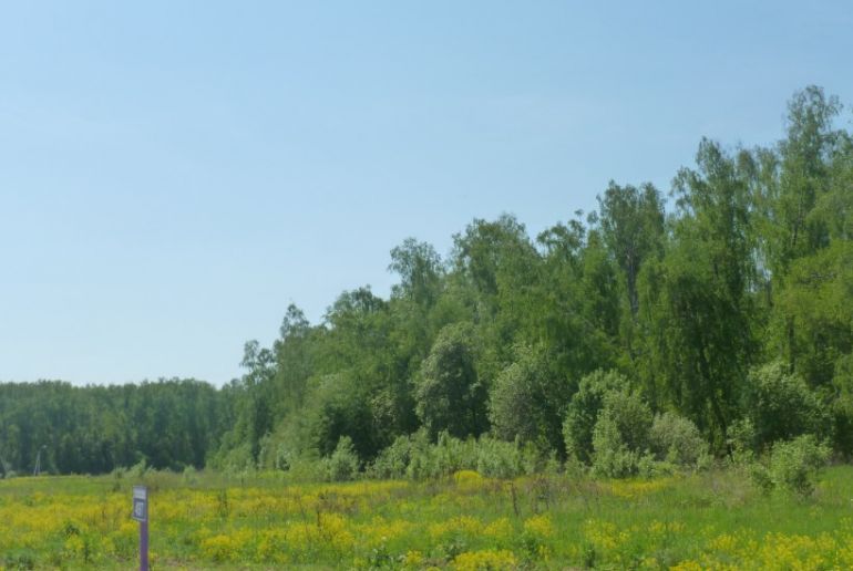 Земля в Подмосковье, Александрово