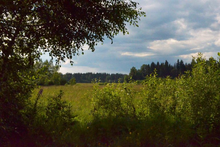 Земля в Подмосковье, Алексино