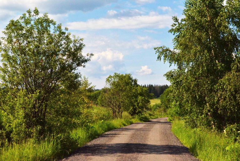 Земля в Подмосковье, Алексино