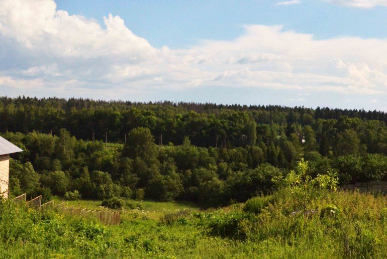 Земля в Подмосковье, Алексино