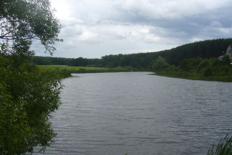 Земля в районе Зарайский, Овечкино