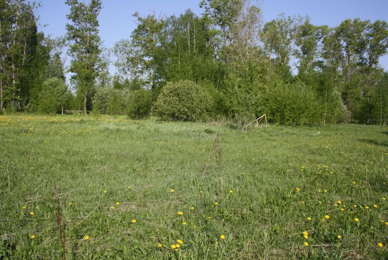 Земля в Подмосковье, Мисирево