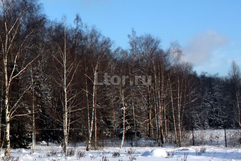 Земля в Подмосковье, Графский лес