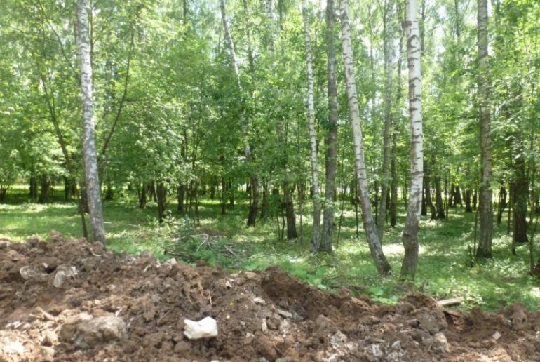 Земля в районе Подольский, Киселево