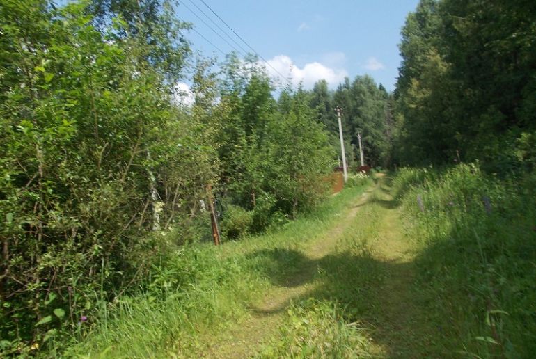 Земля в Подмосковье, Надеждино