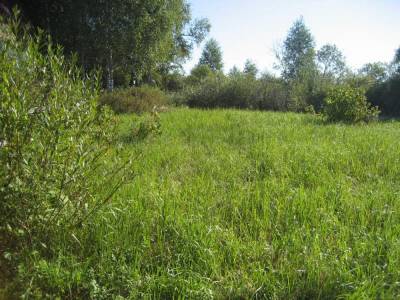 Участок Городской округ Электрогорск, Садовод