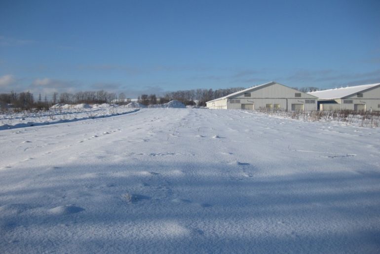 Земля в районе Дмитровский, Рогачево