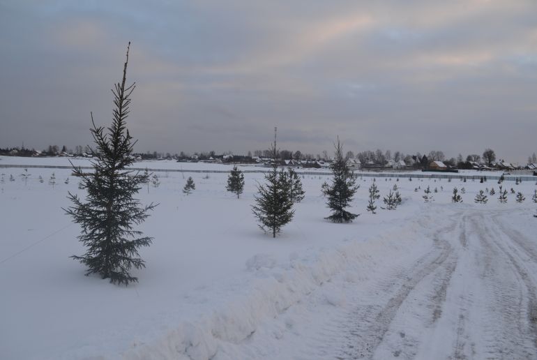 Земля в районе Истринский, Никитское