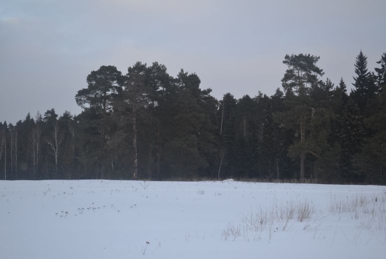 Земля в районе Истринский, Никитское