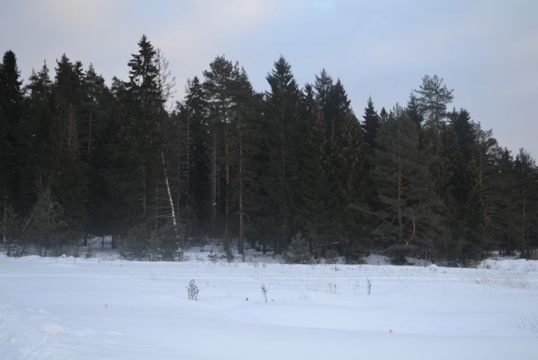 Земля в районе Истринский, Никитское