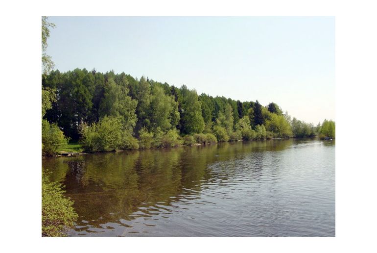 Земля в районе Дмитровский, Селевкино